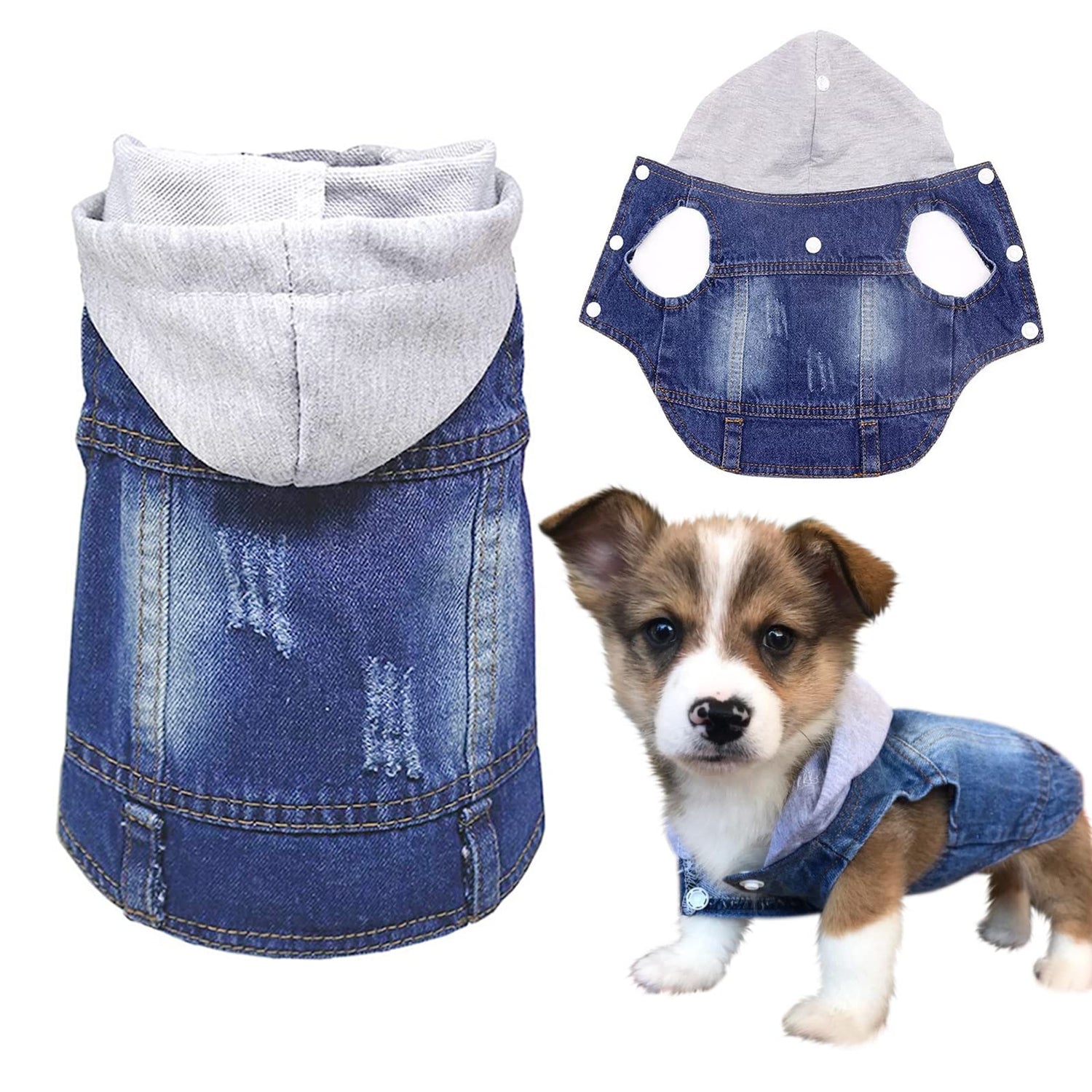 Pet Apparel